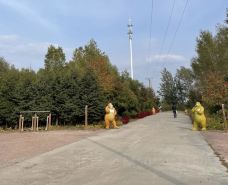 森林植物园-绥化-M50****7180