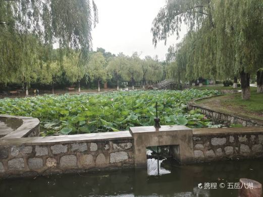 熙湖公园