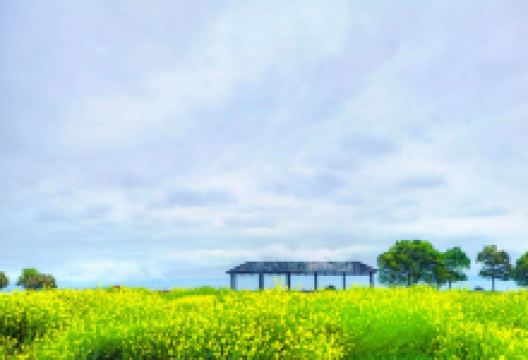 淀山湖风景区景点图片