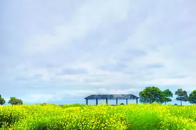 淀山湖风景区