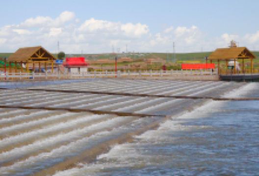 泉吉乡观鱼台景点图片