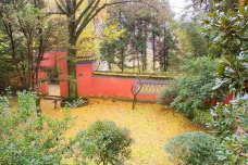 阁皂山风景名胜区-樟树