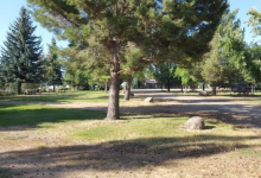 Running Bear Camping Area景点图片