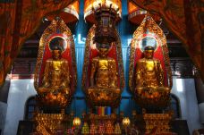 祇园禅寺-青阳-阿诚的白日梦