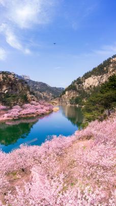 崂山风景区-青岛