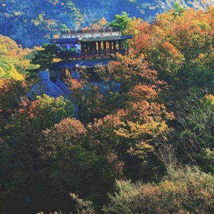 丹东6日5晚私家团