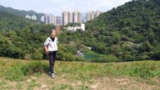 大围村-香港-貓貓達