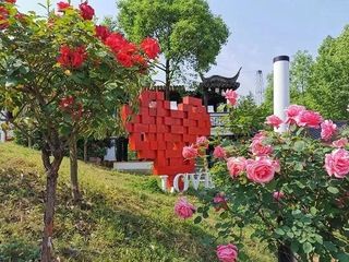 爱你，在瀛湖的青山绿水间