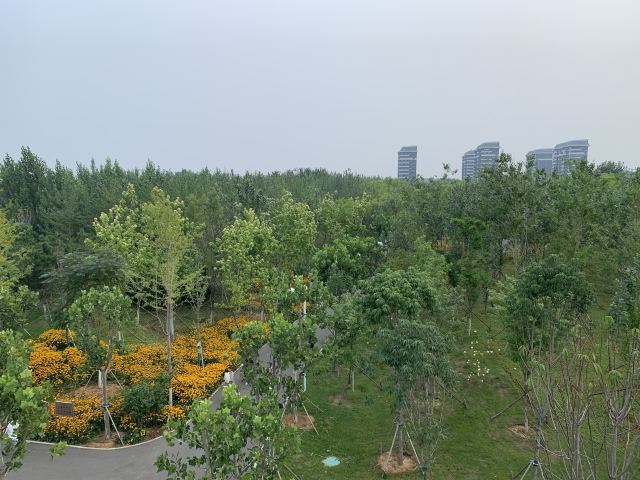 海滨国家森林公园旅行图片 1