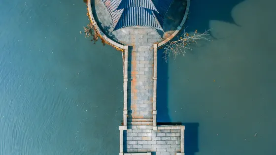忠山公園