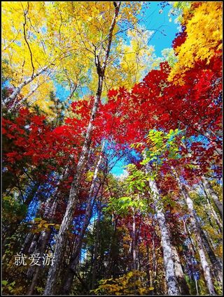 2020年9月牡丹江镜泊湖赏枫