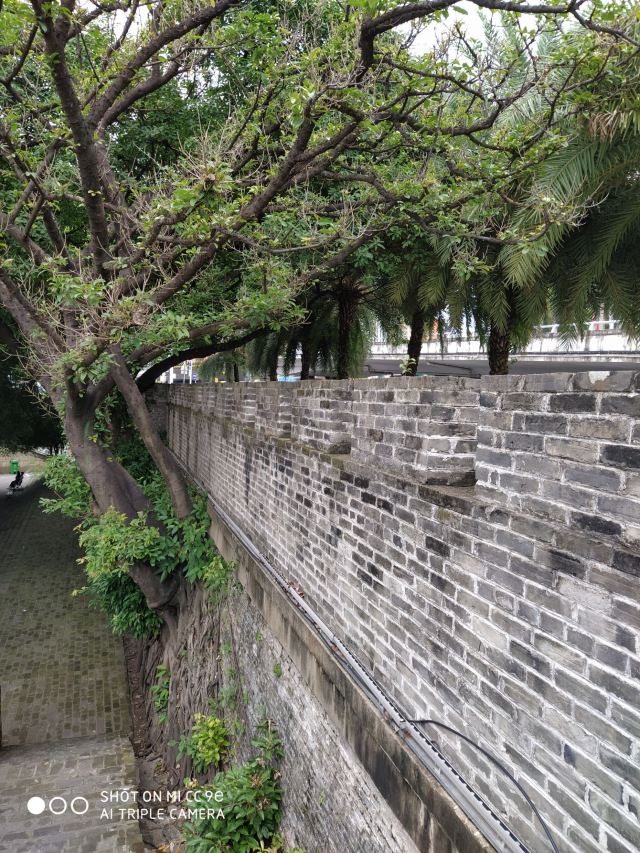 南宁古城墙旅行图片 1