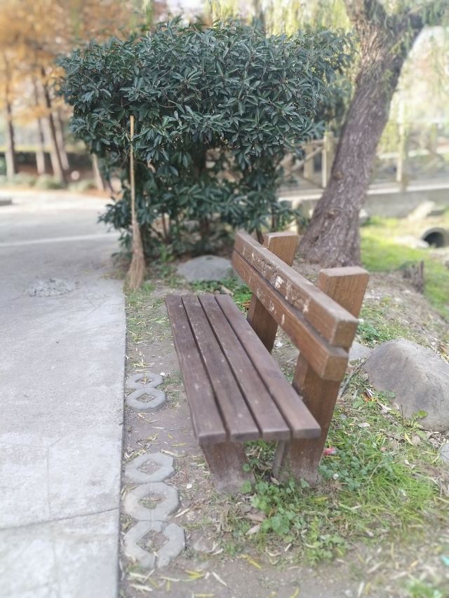 祥和公园旅行图片 3