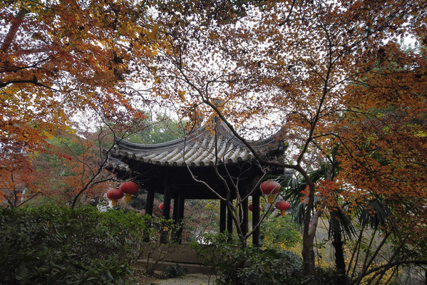 绍兴，一座具有多重风味的城市