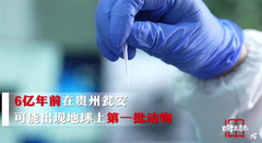 瓮安游记图片] 贵州瓮安可能出现了地球上第一批动物？6亿岁“海绵宝宝”带你玩瓮安！