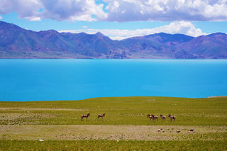 穿越那曲无人区，行走在天际之端，在生命禁地，上演《绝地求生》