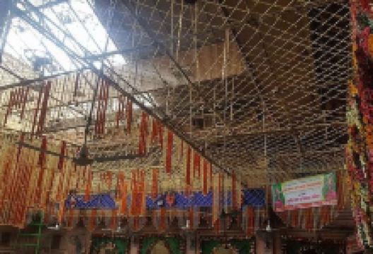 班克比哈里寺庙景点图片