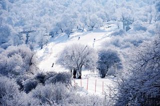全国冰雪旅游精品线路出炉!阿坝州三地上榜!