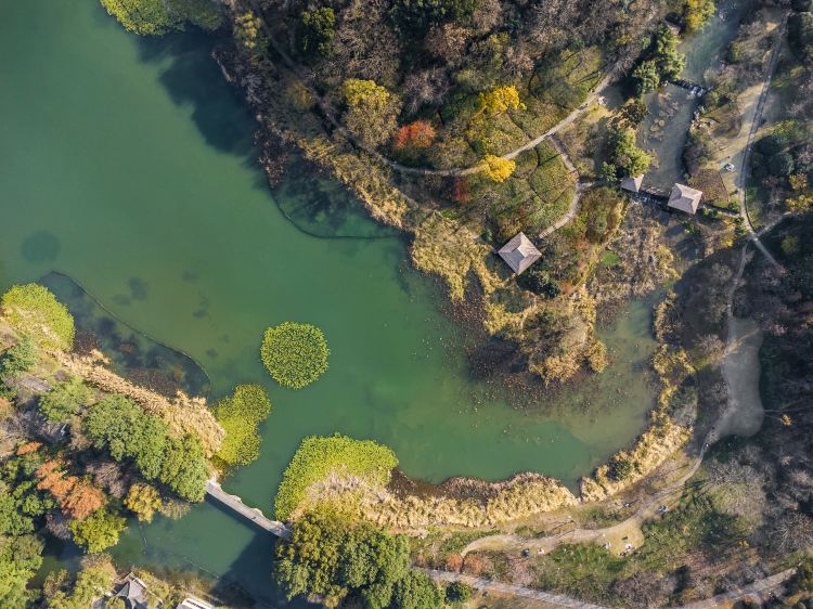 西湖风景区-乌龟潭
