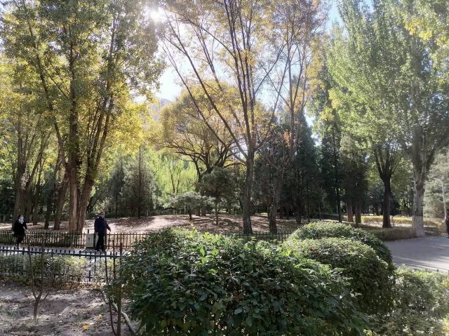 劳动公园旅行图片 3