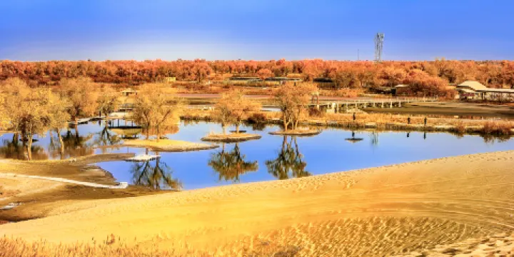 輪台縣沙漠公園