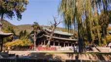 晋祠博物馆-太原-C-IMAGE