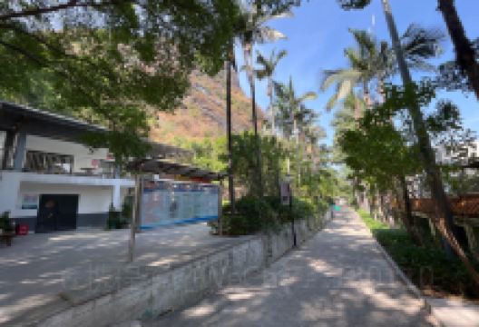 鹅山公园景点图片