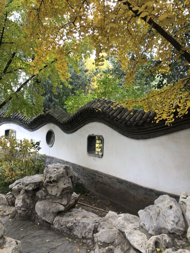 宣武艺园旅行图片 4