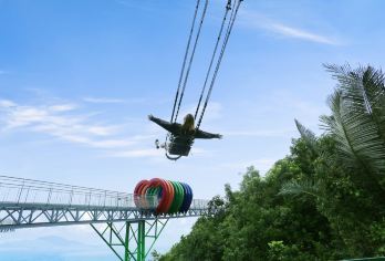 呀诺达热带雨林一日游【纯玩行程丨含门票丨可选小团、玻璃栈道】【[套餐可选]一天玩转精华景点，多景点可选丨品质大团，精品小团，多集合点】