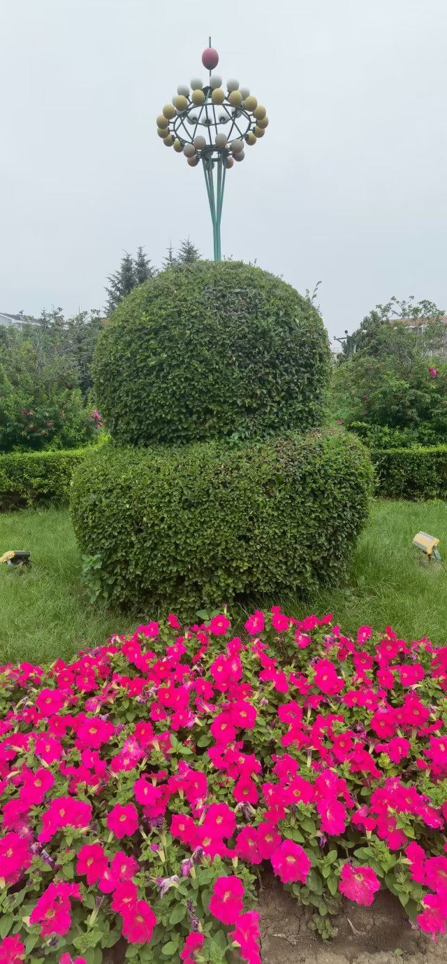 德惠公园旅行图片 14
