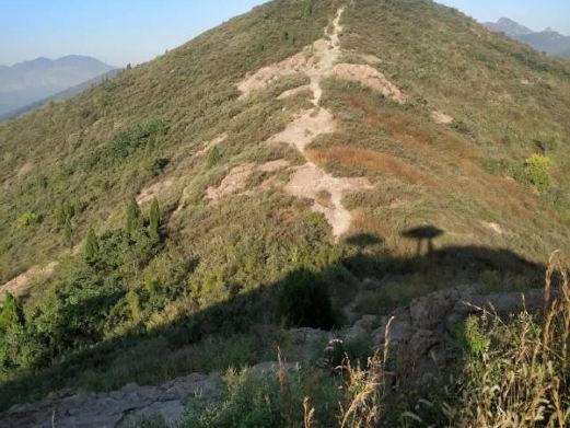 印台山