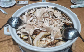 原林野菌王