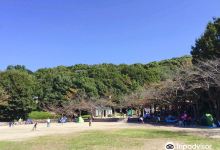 Higashi Hirao Park景点图片