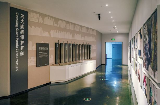 Gallery 2