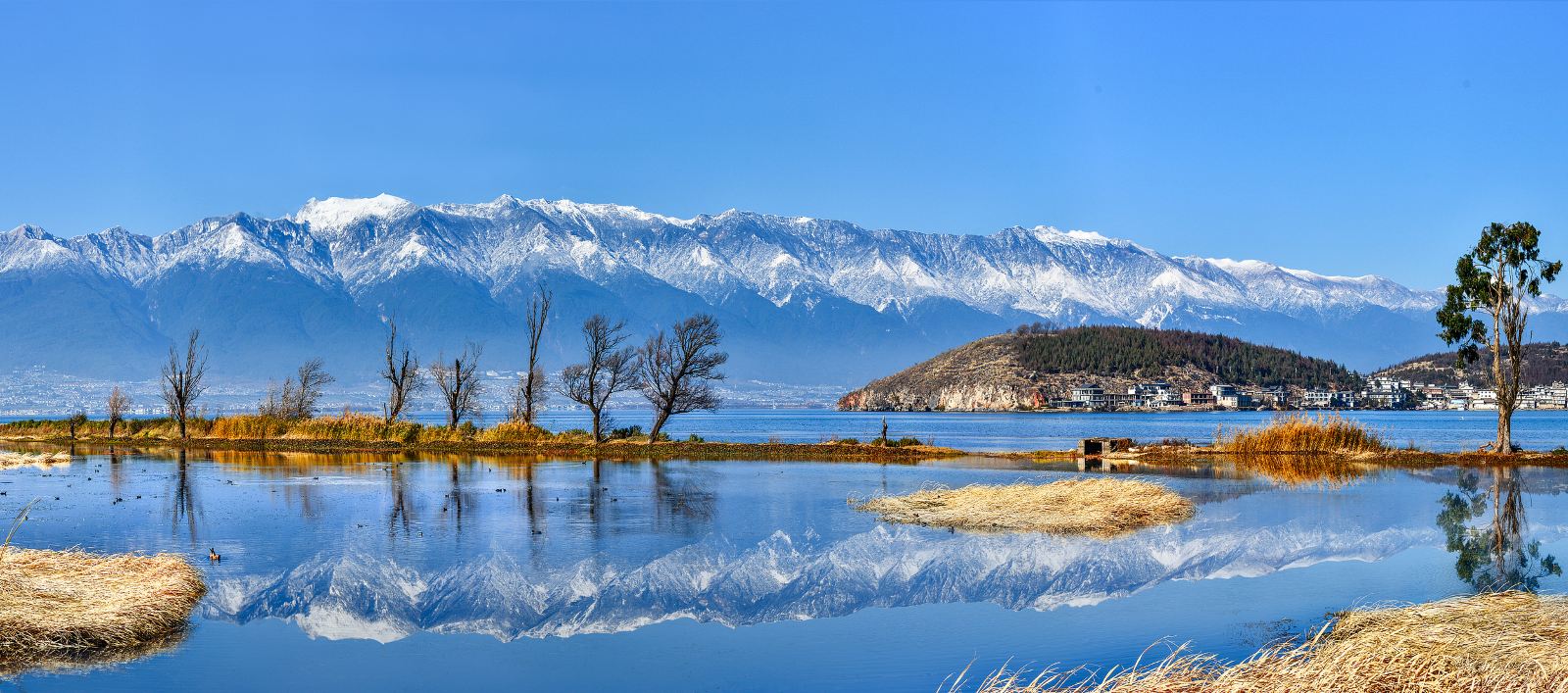 蒼山