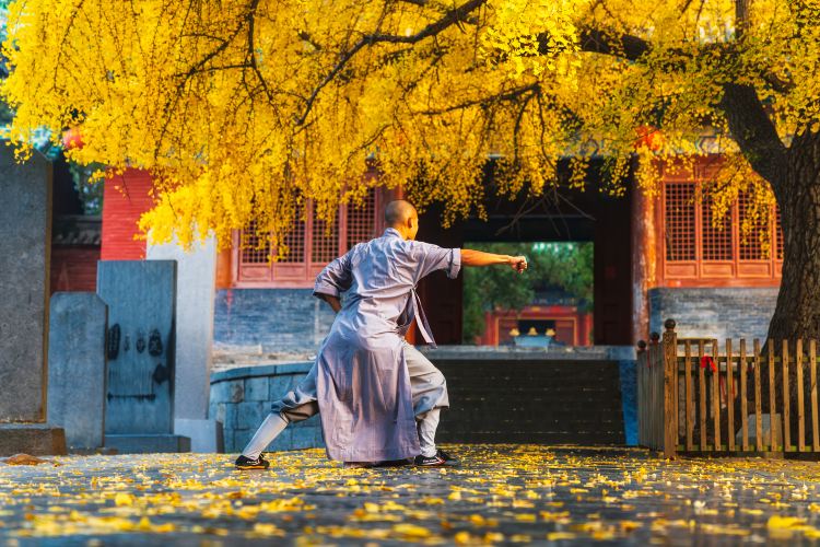 少林寺修习体验