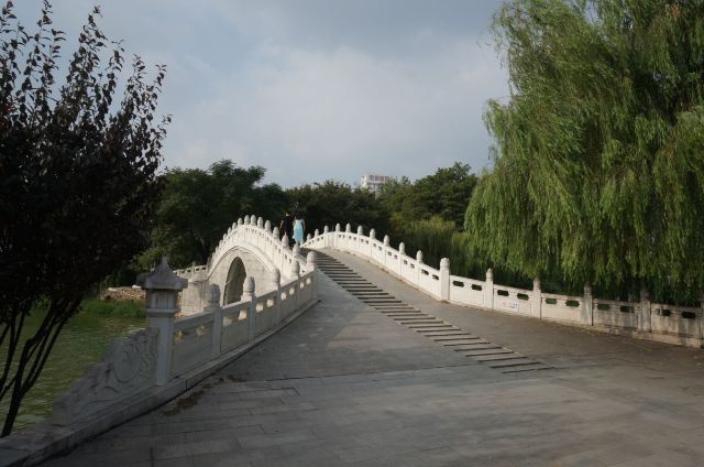 琴台小森林旅行图片 5