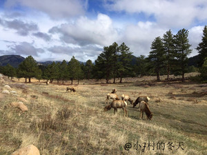 丹佛游记图文-高原上的女王城，绿荫山涧的青春小镇Aspen，深度解析神秘的科罗拉多州旅行攻略 （二）