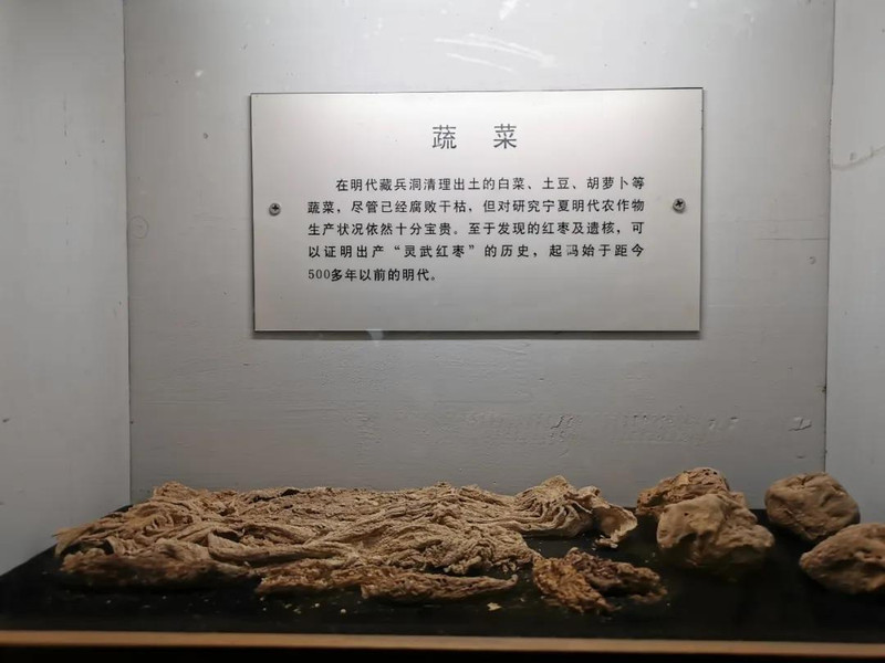 宁夏旅游第一站——打卡水洞沟旅游景区