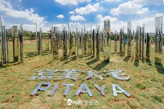 厦门岛外翔安藏千亩火龙果园,好看好玩超浪漫,周边玩好去处