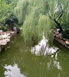 郑州人民公园-郑州-lyn0919