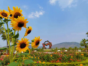 亚龙湾/热带天堂森林公园/博后村游记图文-三亚亚龙湾超赞旅游地，快快点赞收藏！
