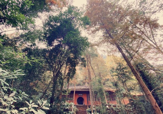 中岩寺景区旅行图片 2
