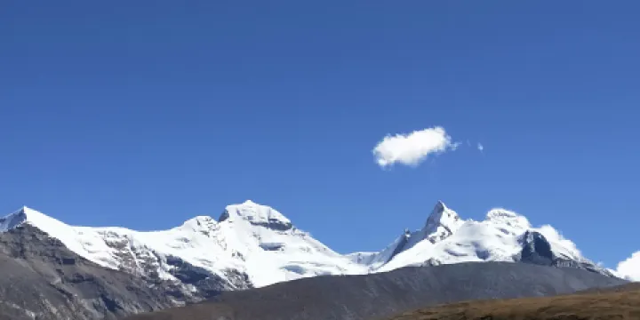 雅魯藏布江黑頸鶴保護區