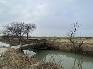 彭家小桥、落戗（厍）屋—桥行（17）