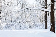 大雪山国立公园-新得町