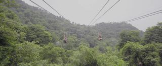 三水游记③清新养生游:沐浴生态氧吧,纵享森林胜景