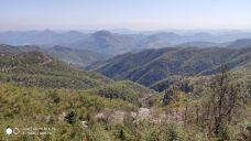 大幕山森林公园-通山-YoYo_2V7C6H1M