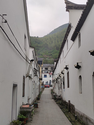 红动富春山居|当“奇山异水，天下独绝”的富阳山水遇上红色旅游，会擦出怎样的火花？