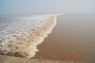 上海出发,2011海宁自驾1日游(盐官古镇、海宁观潮)